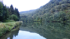 Looking north from the mooring. The narrow road alongside is the Voie Verte (green way) Trans-Ardennes 